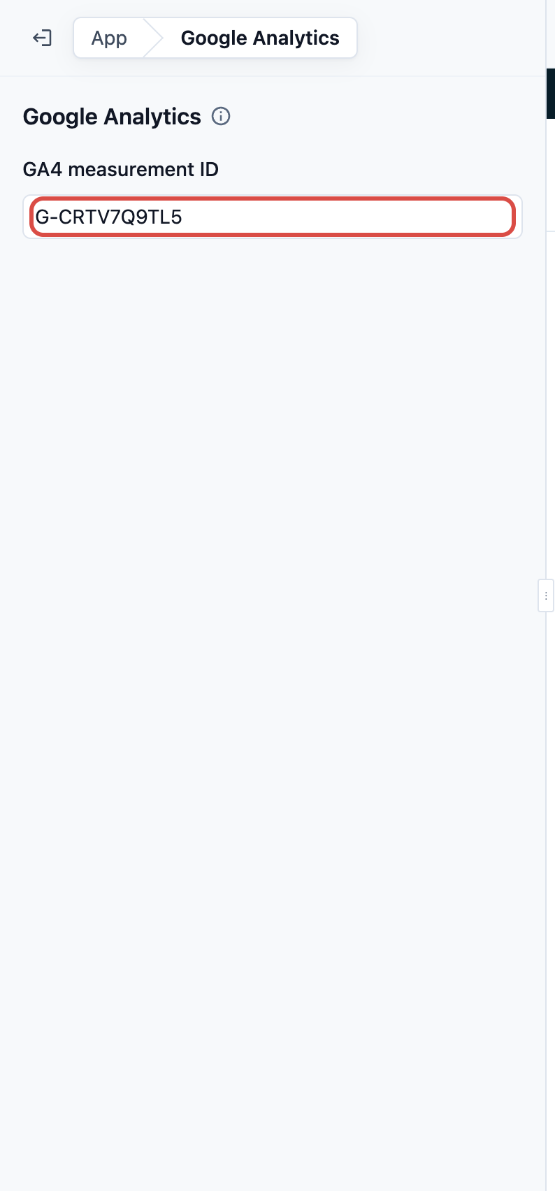 The Google Analytics setting with a GA4 measurement ID entered