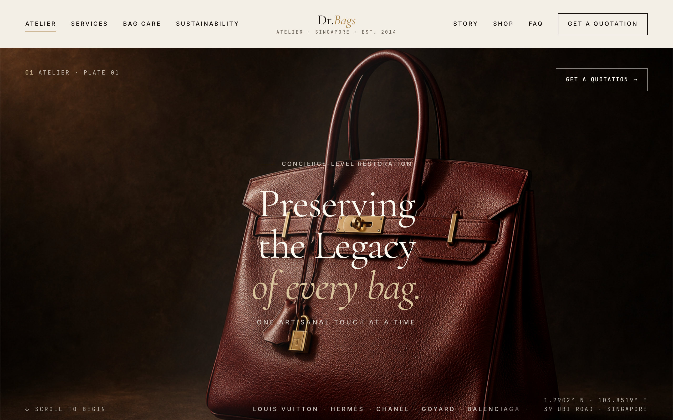 Editorial Luxury Bag Care template preview